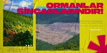 Savaş Kıskacında Yaşam,Cemalettin Küçük ile Politik Ekoloji. Konuk: Saadet Nur Güleç