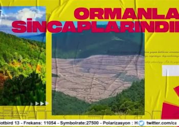 Cemalettin Küçük ile Politik Ekoloji..