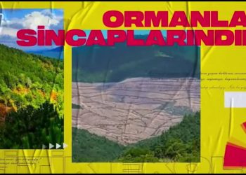 Türkiye’de Yaşanan Hak İhlalleri, Cemalettin Küçük ile Politik Ekoloji. Konuk: Bağımsız Maden İş Sendikası Örgütlenme Uzmanı Başaran Aksu..