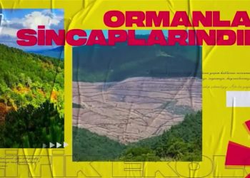 Savaş Bir Halk Sorunudur, Cemalettin Küçük ile Politik ekoloji. Konuk Şebnem Korur Fincancı