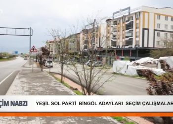 Yeşil Sol Parti Bingöl adayları seçim çalışmaları