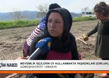 Mevsimlik işçilerin oy kullanmakta yaşadıkları zorluklar.
Gümüçhacıköy / Amasya