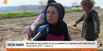 Mevsimlik işçilerin oy kullanmakta yaşadıkları zorluklar.
Gümüçhacıköy / Amasya