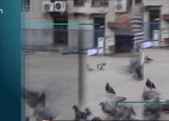 İstanbul halkına ‘ Seçim olursa kime oy verirsiniz? ‘ diye sorduk ( SOKAK ) – 14.01.2022