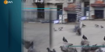 İstanbul halkına ‘ Seçim olursa kime oy verirsiniz? ‘ diye sorduk ( SOKAK ) – 14.01.2022