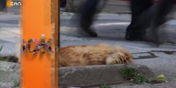 Yurttaşa Ekonomik Krizi Sorduk.