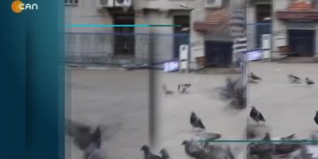 Asgari Ücret Ne Kadar Olmalı.