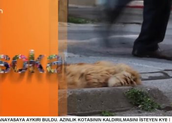 İstanbul Halkına Yerel Seçimleri Sorduk