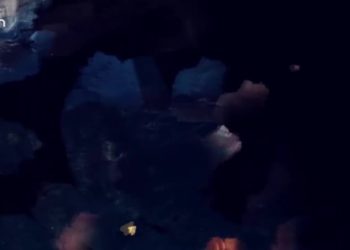 Edremit Pir Sultan Abdal Kültür Derneğinin Çalışmaları, Gülümser Kaya ile Tahtacı Yurdundan sizlerle..19.01.2022