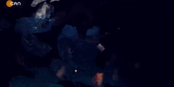 Kazdağları Doğal ve Kültürel Varlıkları Koruma Derneği Basın Açıklaması – Tahtacı Yurdundan