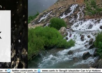 Jiyara Heniyo Pîl, Pılemorîye / Dersim. Ali Şeker İle Teberik..