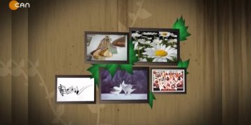 Halil Can Koca ile Turnalar.