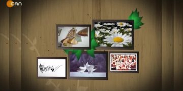 Barış Cura ve Lorina Cura ile Turnalar.