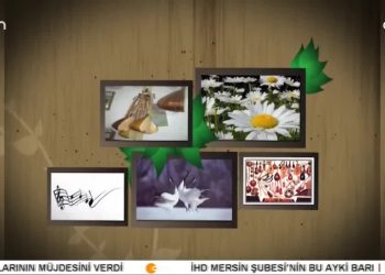 Hikmet Sürücü İle Turnalar