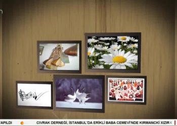 Kul  Turabi ile Turnalar.