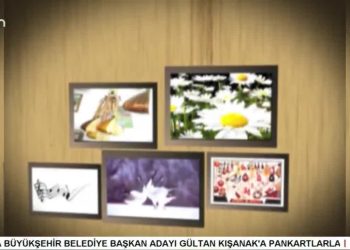 Nejla Çelik ile Turnalar