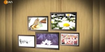 Nejla Çelik ile Turnalar