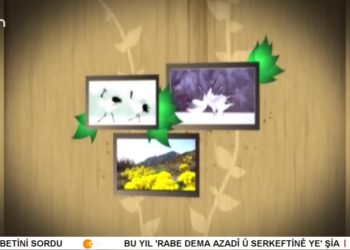 Hüseyin Subaşı (Ozan Pelül) ile Turnalar.