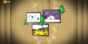 Hüseyin Subaşı (Ozan Pelül) ile Turnalar.