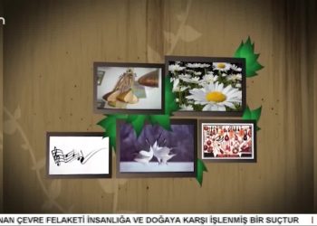 Devrim Kaya ile Turnalar.