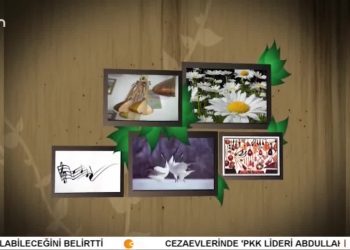 Güray Sönmez  ile Turnalar.