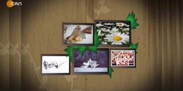 Güray Sönmez  ile Turnalar.