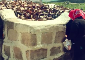 İtiqat Ê Kamiya Zone Ma, Fintoz Dikme ile Vatis. Konuk: Ana Fecira