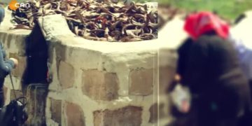 Zenatkarê Dêrsımî

Fintoz Dikme’nin Sunduğu Vatis Programı Can Tv’de