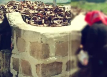 Ressame Dersim, Fintoz Dikme İle Vatîs  Can Tv’de