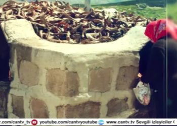 Fintoz Dikme’nin Sunduğu Vatis Programının Konuğu Pir Kemal Doğan Sizlerle…