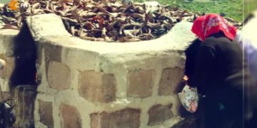 Hewsê Pîrune Sadag’de Serdarê Komela Dersîm Yusuf Topçu’de movet – Fintoz Dikme İle Vatis