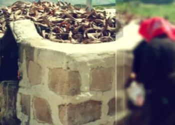 Movetê Dersîm
Fintoz Dikme’nin hazırlayıp sunduğu Vatis programının konuğu Kazım Arık Can tv’de