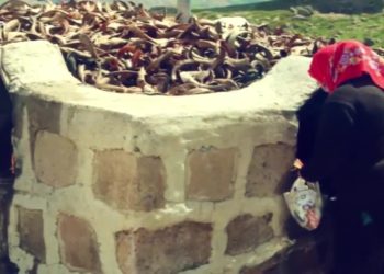 Fintoz Dikme ile Vatis Sizlerle..