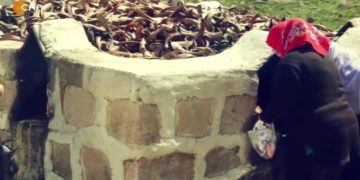 Fintoz Dikme ile Vatis Sizlerle..