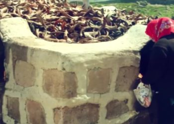 İvave Te Ma Sero Qesey Keme,
 Fintoz Dikme İle Vatis. Konuk:Emine Çelik