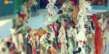 *Dersa Dine Mecbûrîye Sero 
Veli Haydar Güleç Ve İmam Balsever Vatis Programı İle Can Tv’de