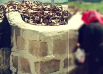 Kar û Gûre Zanatkaranê Ma û Hunsermêndane Ma Sero Qesîy