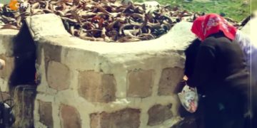 Roca Zone Daîkan Û Raa Haq Ser O, Veli Haydar Güleç ile Vatis. Konuk: Musa Kulu