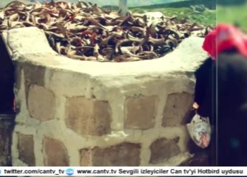 Duzgın Bawa Dê Raa Haq Kültûre Ma Ser O Qesîy – Vatis