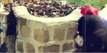 Duzgın Bawa Dê Raa Haq Kültûre Ma Ser O Qesîy – Vatis