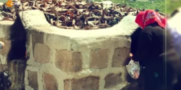 PROGRAMÊ VATÎS DÊ NA HEŞTÊ MEYMANE VATOXE FİNTOZ DİKME, NESİMİ ATAŞ BENO