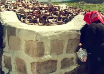 Weçintayiş Ser O.
Fintoz Dikme ile Vatis programının bu haftaki konuğu: -Kazım Arık