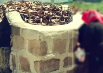 Zelzele û Weçinitayisê 14 Gulan’e, eve Fintoz Deprem ve 14 Mayıs seçimleri, Dikme û Veli Haydar Güleç ya Vatis / Fintoz Dikme ve Veli Haydar Güleç ile Vatis sizlerle