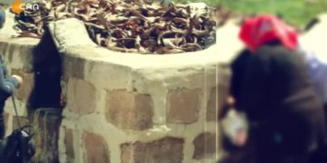 Zelzele û Weçinitayisê 14 Gulan’e, eve Fintoz Deprem ve 14 Mayıs seçimleri, Dikme û Veli Haydar Güleç ya Vatis / Fintoz Dikme ve Veli Haydar Güleç ile Vatis sizlerle