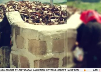 Kulturê Ma u Cenîye Ma, Fintoz Dikme ile Vatîs, Konuk: Emine Söylemez.