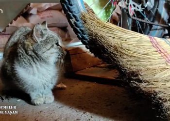 Varto İçmeler Köyünde Yaşam