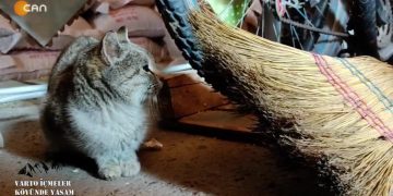 Varto İçmeler Köyünde Yaşam