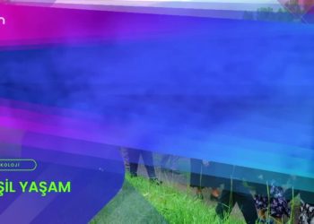 Özge Erdoğan Yeşilırmak’ın hazırlayıp sunduğu Yeşil Yaşam programının bu haftaki konukları Van Kuş Cenneti’nde çıkan yangını konuşmak üzere Av. Gülbahar Doğan ve Arzu Dinçer.