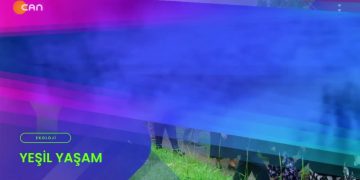 Özge Erdoğan Yeşilırmak’ın hazırlayıp sunduğu Yeşil Yaşam programının bu haftaki konukları Van Kuş Cenneti’nde çıkan yangını konuşmak üzere Av. Gülbahar Doğan ve Arzu Dinçer.