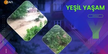 Özge Erdoğan Yeşilırmak ile Yeşil Yaşam. Konuklar: Ali Kalçık, Osman Erdem.